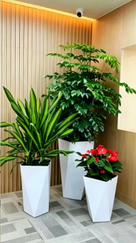 海曙花木租摆合作-宁波绿植租赁费用-镇海花卉店位置-宁波绿化养护植物种类